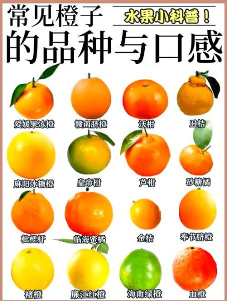 常见水果图片大全_如何快速识别水果种类