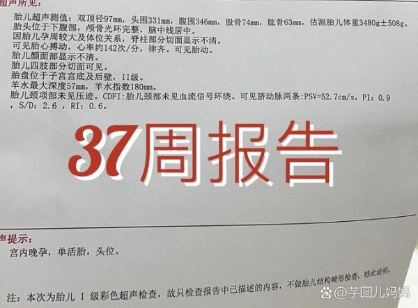 37周双顶径正常值是多少_胎儿发育是否达标