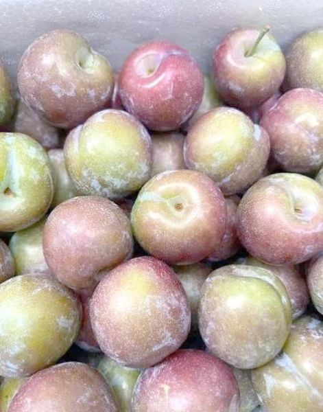 孕妇梦到李子是什么意思_孕妇梦见李子生男生女