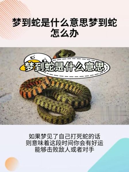梦到蛇缠脚是什么意思_蛇缠脚梦境解析