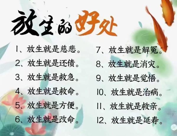 放生图片大全_如何正确放生