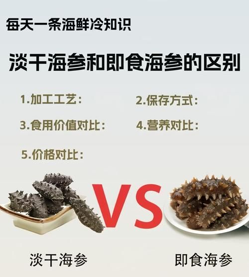 海参图片大全_海参怎么挑选