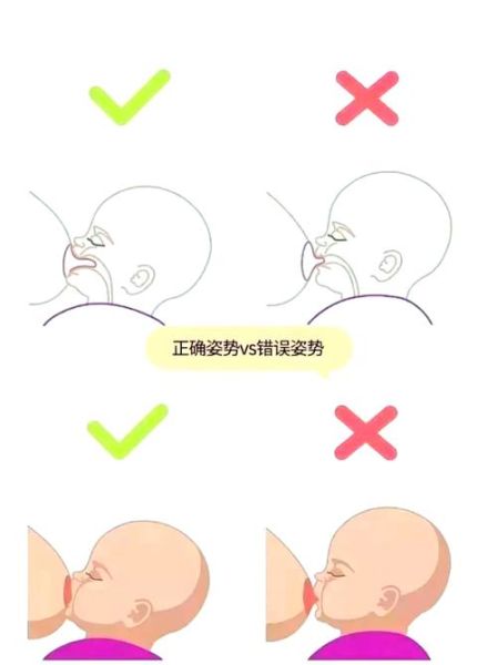 宝宝吃奶图片怎么看_正确哺乳姿势图解