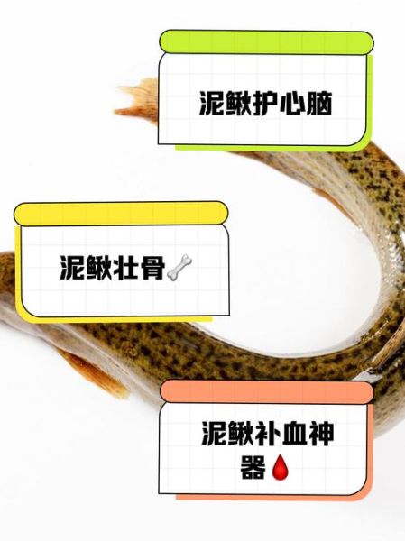 泥鳅迅雷下载_安全吗