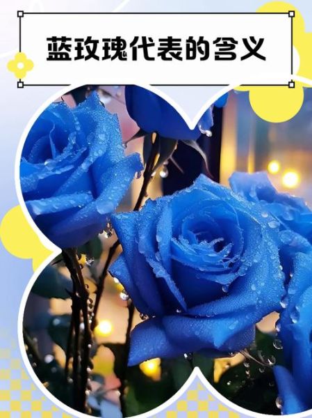 蓝玫瑰图片大全_蓝玫瑰代表什么含义