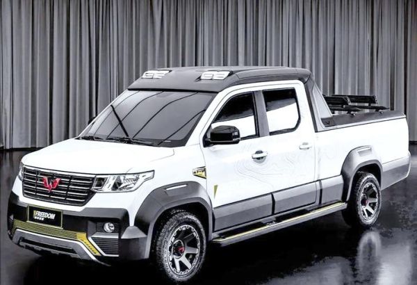 皮卡车图片大全大图_皮卡车哪个品牌好看