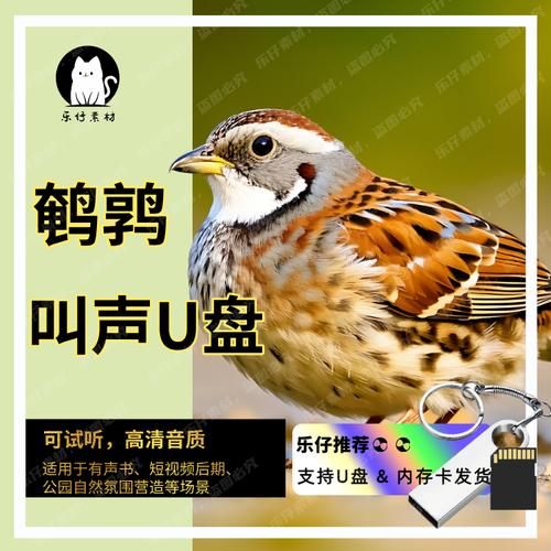 梦到鹌鹑是什么意思_鹌鹑在梦里代表什么