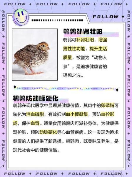 梦到鹌鹑是什么意思_鹌鹑在梦里代表什么