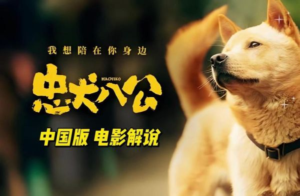 忠犬八公迅雷下载_忠犬八公高清资源哪里找