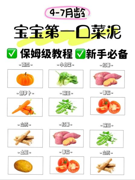 宝宝蔬菜泥怎么做_蔬菜泥辅食做法大全
