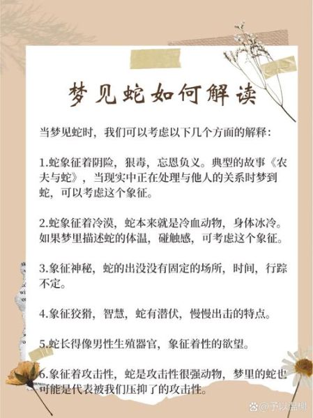 梦到两条小蛇是什么意思_梦见两条小蛇预示什么