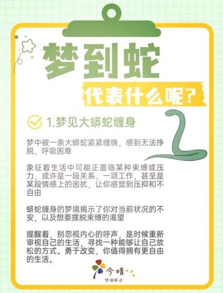 梦到白蛇是什么意思_白蛇梦境吉凶解析
