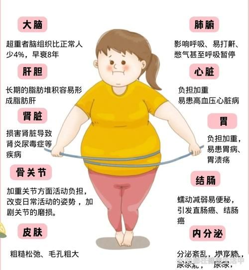 肥胖图片大全_肥胖是怎么形成的