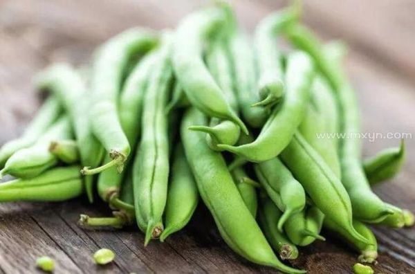 梦到豆角是什么意思_梦见豆角预示什么