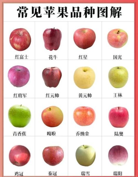 水果大全图片_水果名称对照表
