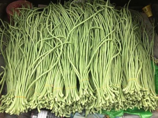 梦到豆角是什么意思_梦见豆角预示什么