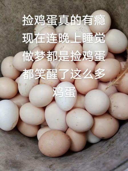 梦到捡鸡蛋是什么意思_梦见捡鸡蛋预示什么