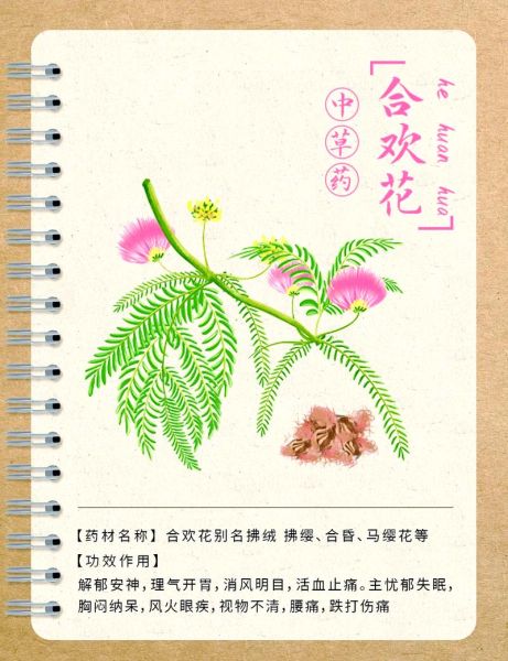 干合欢花图片大全_干合欢花怎么辨别真假