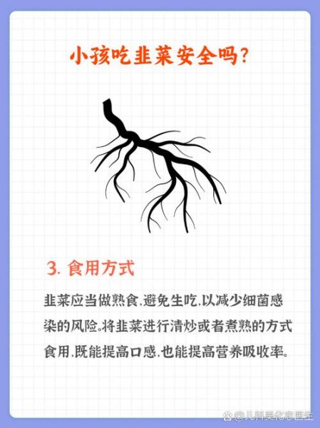 两岁宝宝能吃韭菜吗_韭菜辅食做法