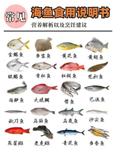 海鱼图片大全大图_如何识别常见海鱼