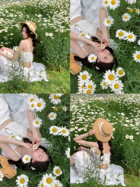 花丛图片大全_如何拍出花海氛围感