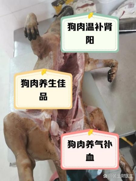 梦到狗肉是什么意思_梦见吃狗肉好不好