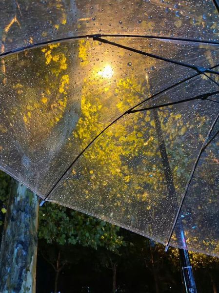 雨图片大全哪里找_雨天意境图怎么拍