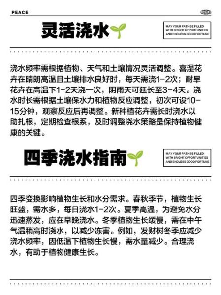 梦到浇水是什么意思_梦到浇水预示着什么