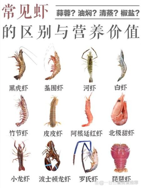 虾图片大全_高清虾类图片怎么找