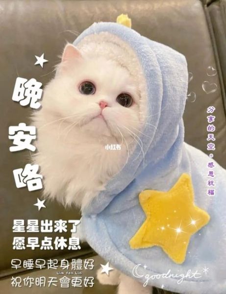 动物晚安图片大全可爱_怎么找高清无水印