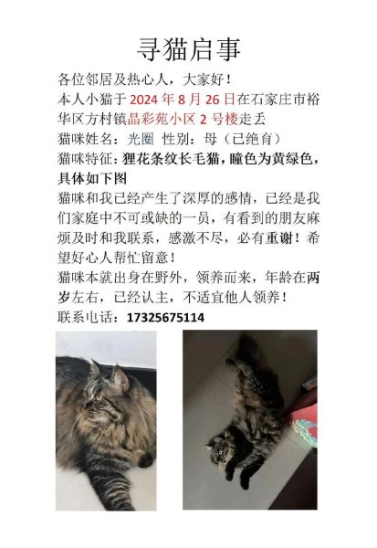 梦到抓猫是什么意思_梦到抓猫预示着什么