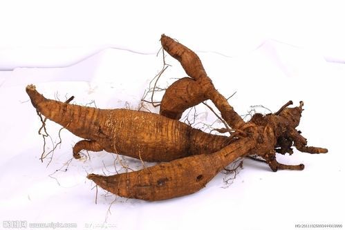 葛图片大全_如何快速找到高清素材