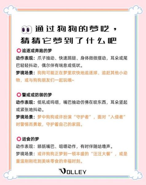 梦到抓狗是什么意思_梦到抓狗预示什么
