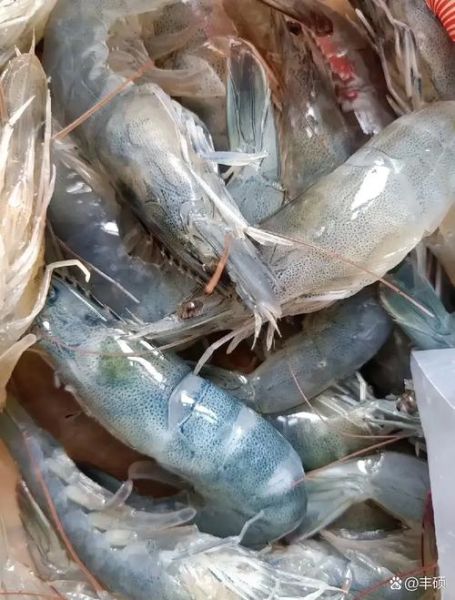 梦到买虾是什么意思_梦见买虾好不好