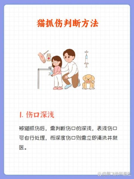 梦到被猫抓是什么意思_被猫抓伤预示什么