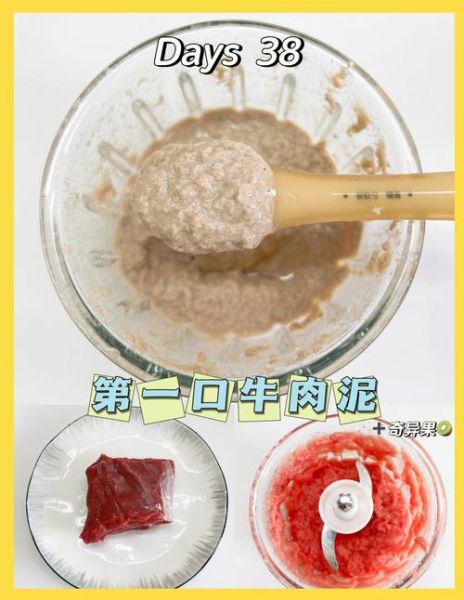 宝宝牛肉辅食怎么做_牛肉泥几个月能吃