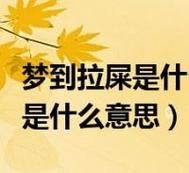 梦到厕所大便是什么意思_梦见拉屎在厕所好不好