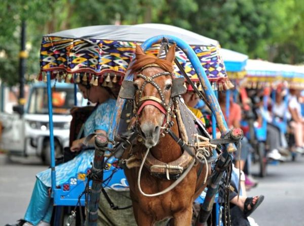 梦到坐马车是什么意思_梦见马车是吉兆吗