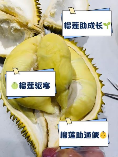 榴莲多大宝宝可以吃_宝宝吃榴莲注意事项