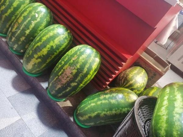 梦到大西瓜是什么意思_孕妇梦见大西瓜预示什么