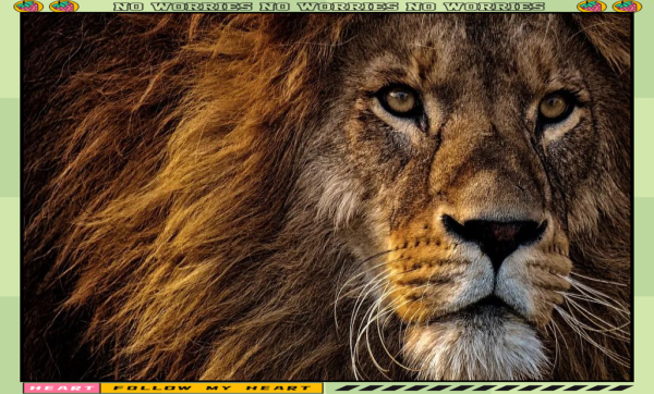 梦到大狮子是什么意思_梦见狮子攻击我怎么办