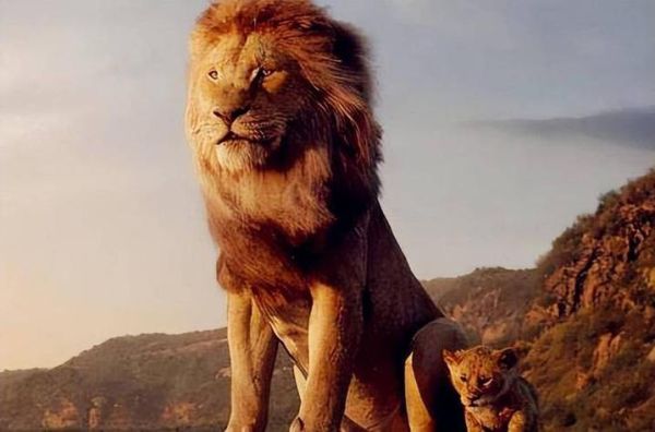 梦到大狮子是什么意思_梦见狮子攻击我怎么办