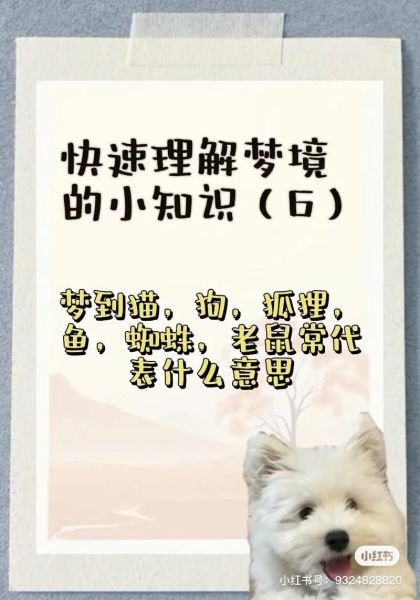 梦到一群猫是什么意思_猫群梦境解析