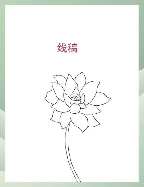 荷花怎么画_荷花简笔画步骤