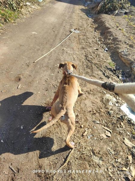 比特图片大全哪里找_比特图片大全怎么下载