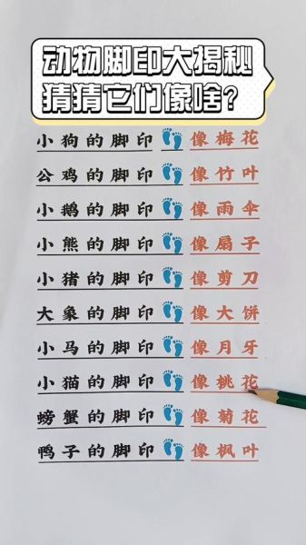 脚印图片大全_如何识别不同动物足迹