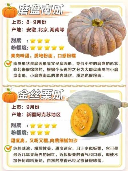 南瓜图片大全大图_南瓜品种高清图鉴