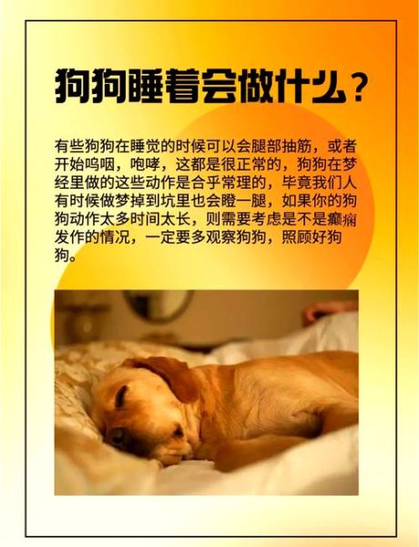 梦到狗生小狗_周公解梦准不准