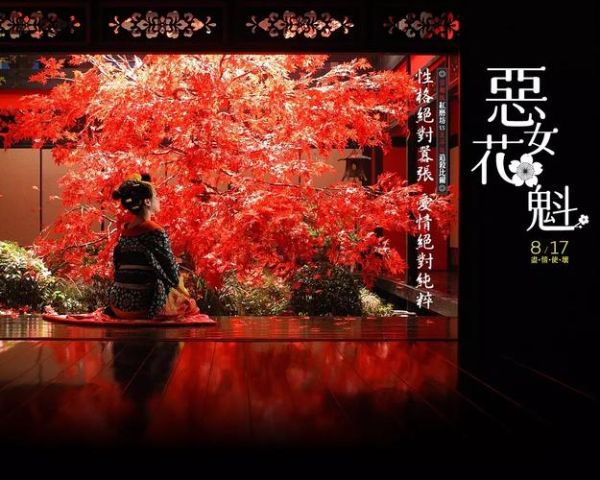 花魁迅雷下载_花魁迅雷下载安全吗