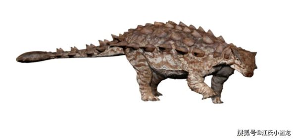 甲龙图片大全_甲龙长什么样